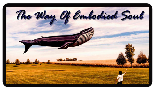 The Way Of Embodied Soul Course